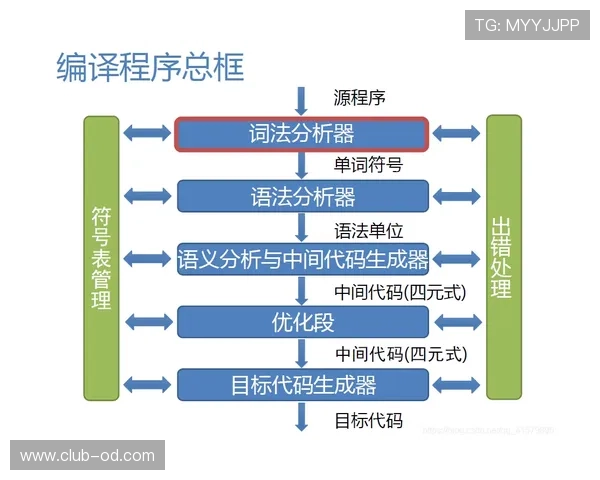 恩佐是否依赖体系？战术角色与适配性分析